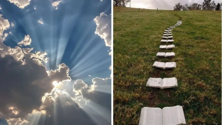 تخلص من الفوضى الذهنية الآن