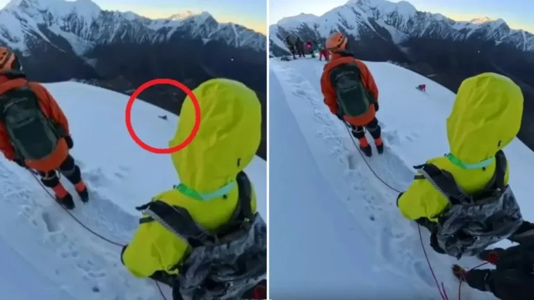 صورة سيلفي تتحول إلى كارثة
